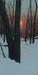 Winter Warmth VI, 24 x 12,  $650 CAN