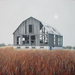 Winter Warmth VI, 24 x 12,  $650 CAN