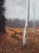 Winter Warmth VI, 24 x 12,  $650 CAN
