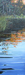 Winter Warmth VI, 24 x 12,  $650 CAN