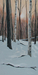 Winter Warmth VI, 24 x 12,  $650 CAN
